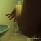 7653 Pregnanthd1-Hdmp4-001 2