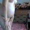 Pregnant sex – 133PG