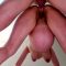Pregnant 895354