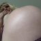 7170 Pregnant girl, lactation, pregnant fetish 20